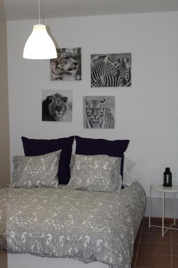 Loft Pinope Apartament *