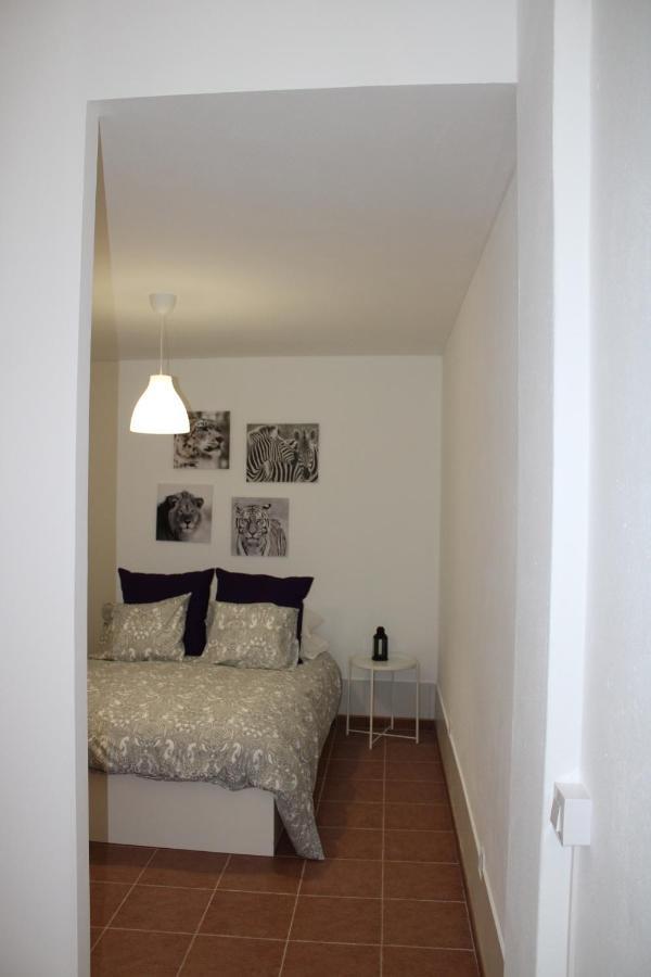 Loft Pinope Apartament